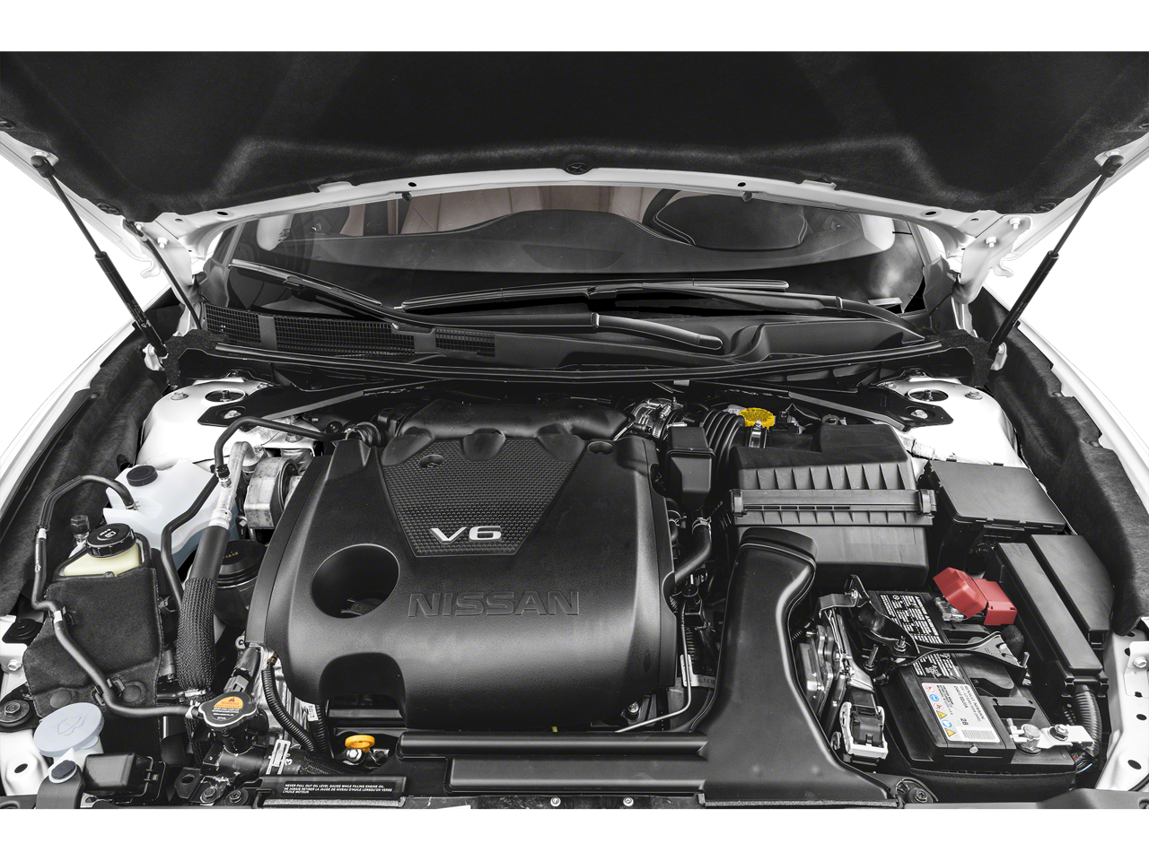 2023 Nissan Maxima Platinum