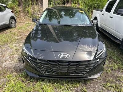 2023 Hyundai ELANTRA Limited